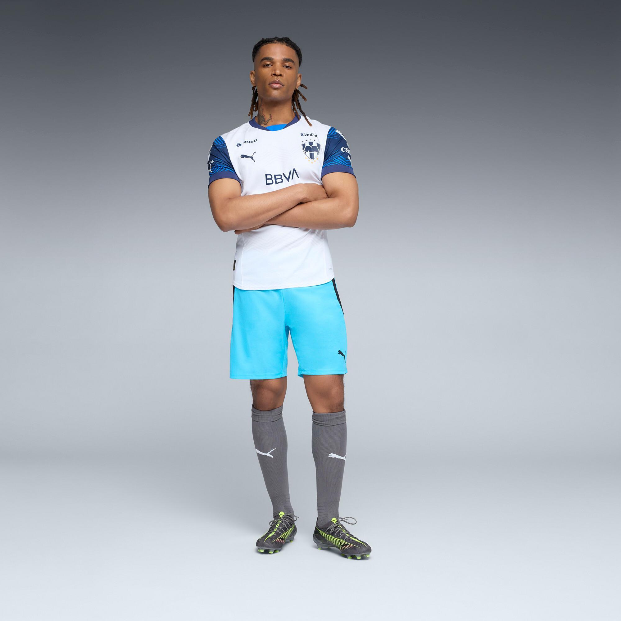 PUMA teamLIGA Men's Soccer Shorts Product Image