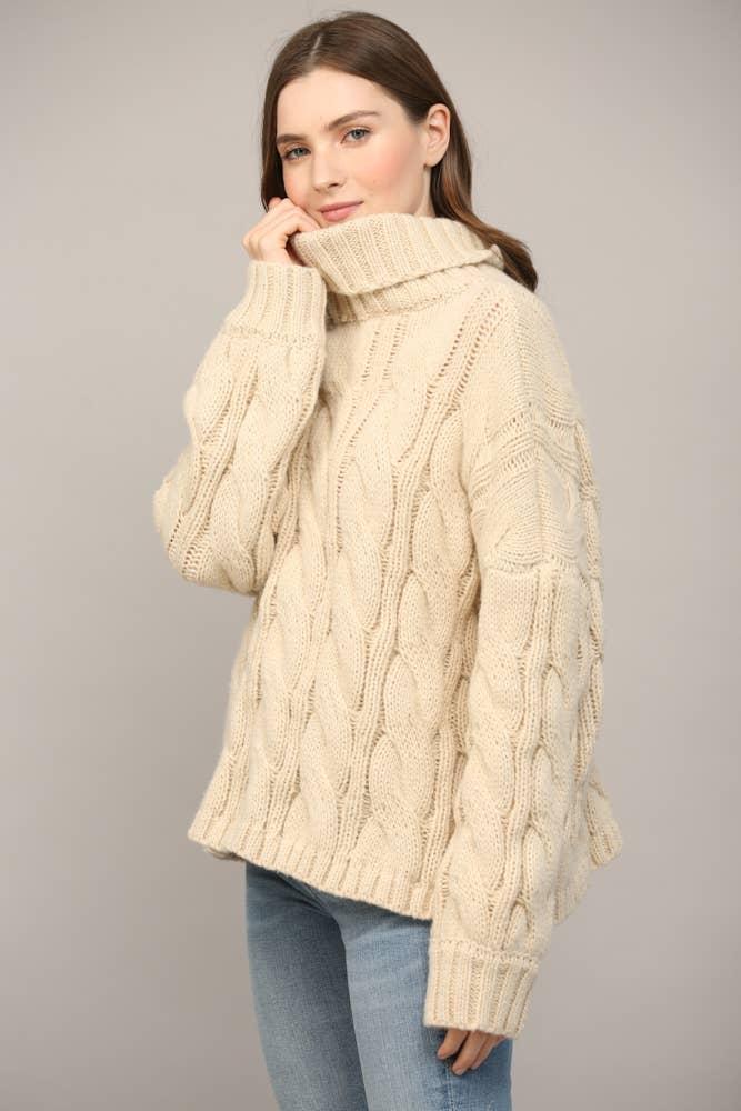 Cable Knit Turtleneck Product Image