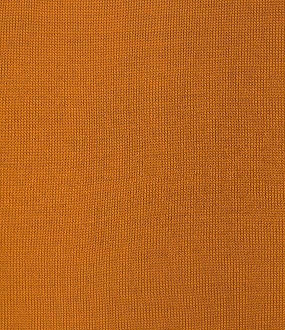 Murano Solid Performance Textured Long Sleeve Mock Neck Sweater Product Image