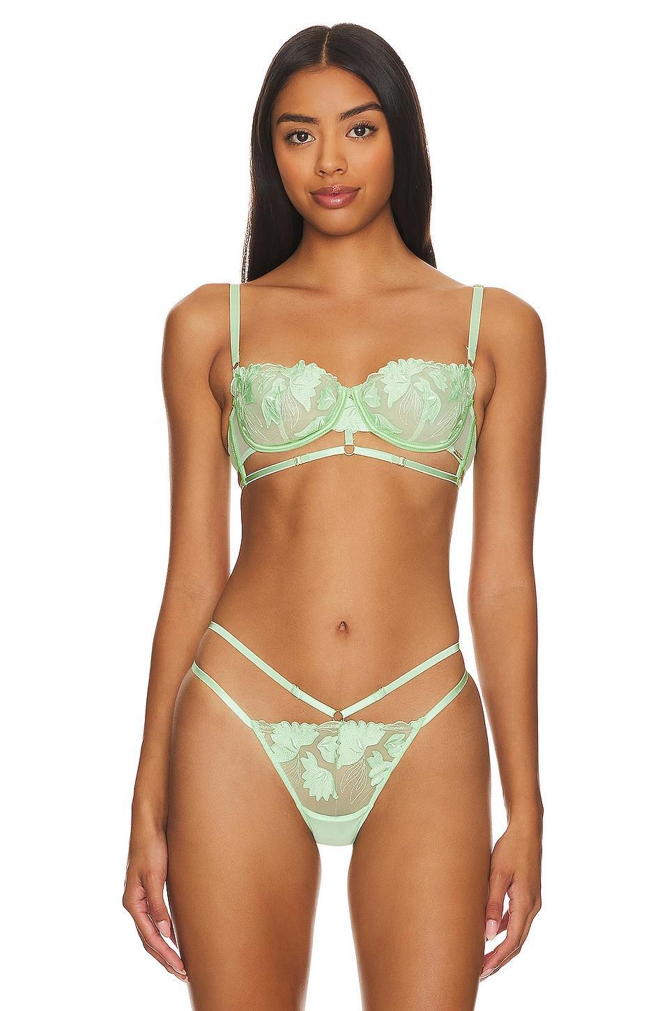 Isla Wired Bra BLUEBELLA Product Image