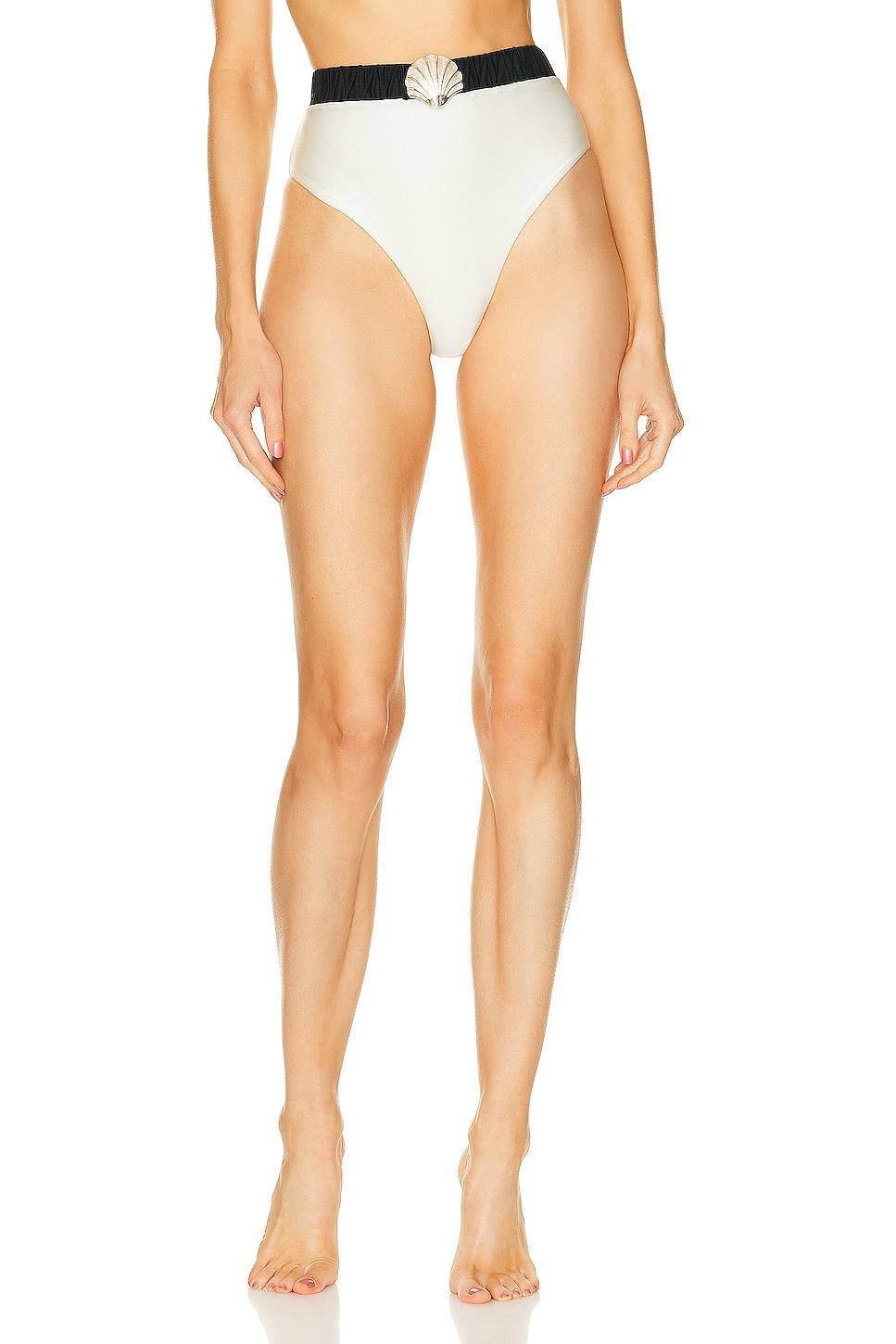 Seashell High Waist Bikini Bottom Product Image