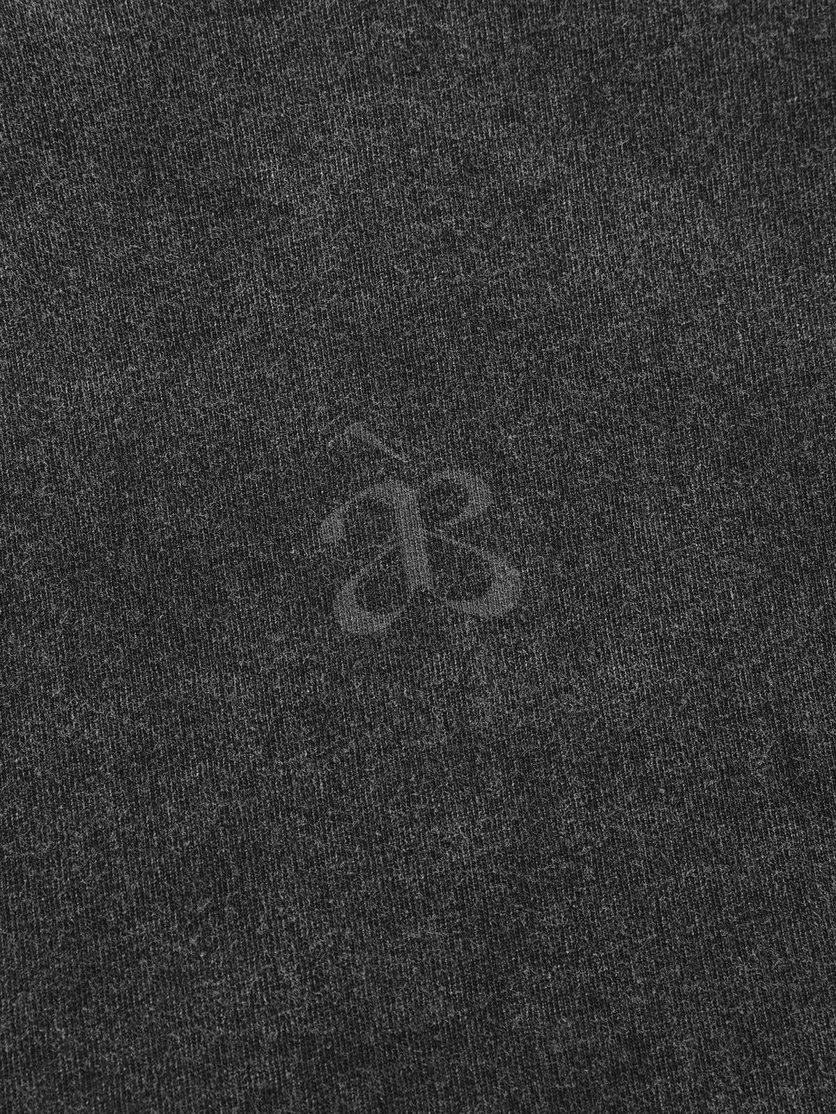 Aelfric Eden Essential aé Washed Long Sleeve Tee Product Image