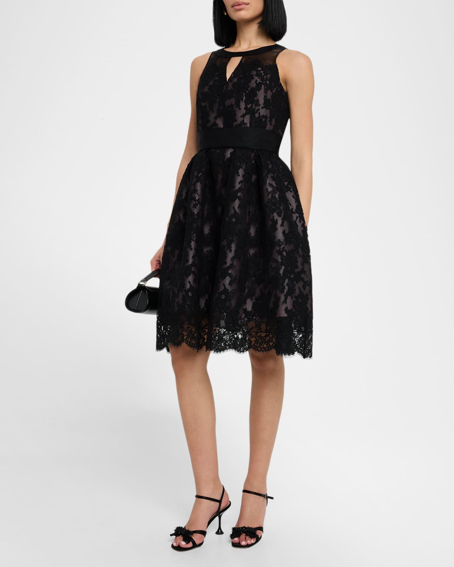 Lace Sleeveless Fit-&-Flare Dress Product Image