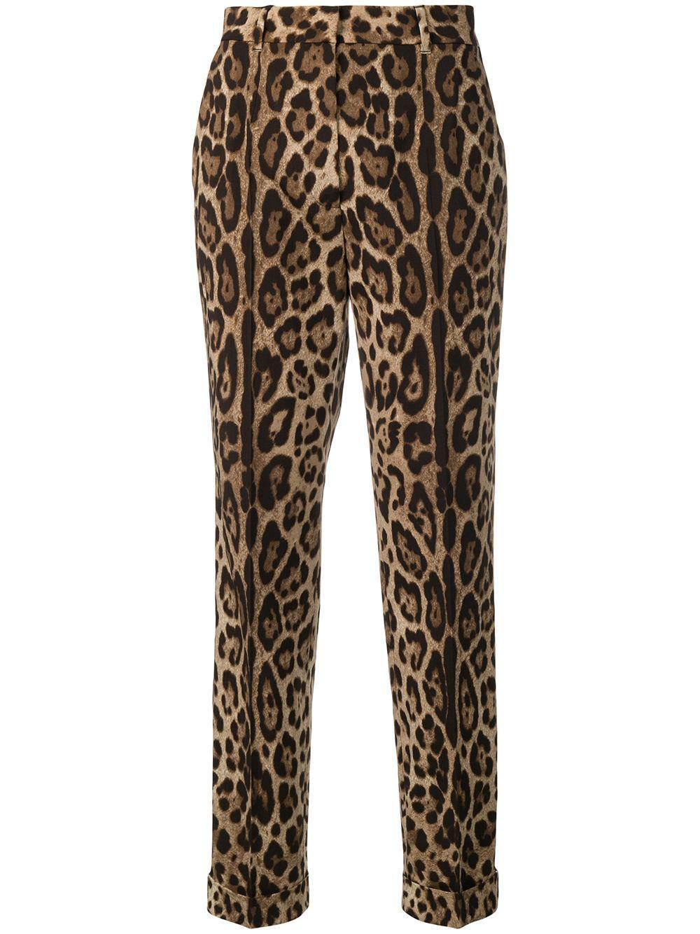 DOLCE & GABBANA Leopard-print Wool-blend Straight-leg Pants In Leopard Print Product Image