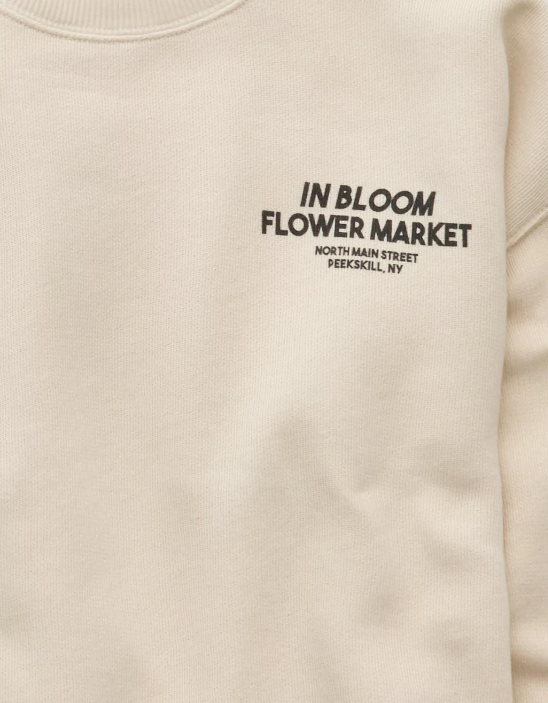 AE Relaxed Fit Destination Graphic Sweatshirt Product Image