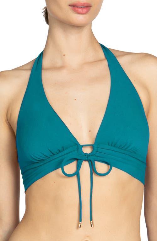 Womens Aubrey Halter Neck Bikini Top Product Image