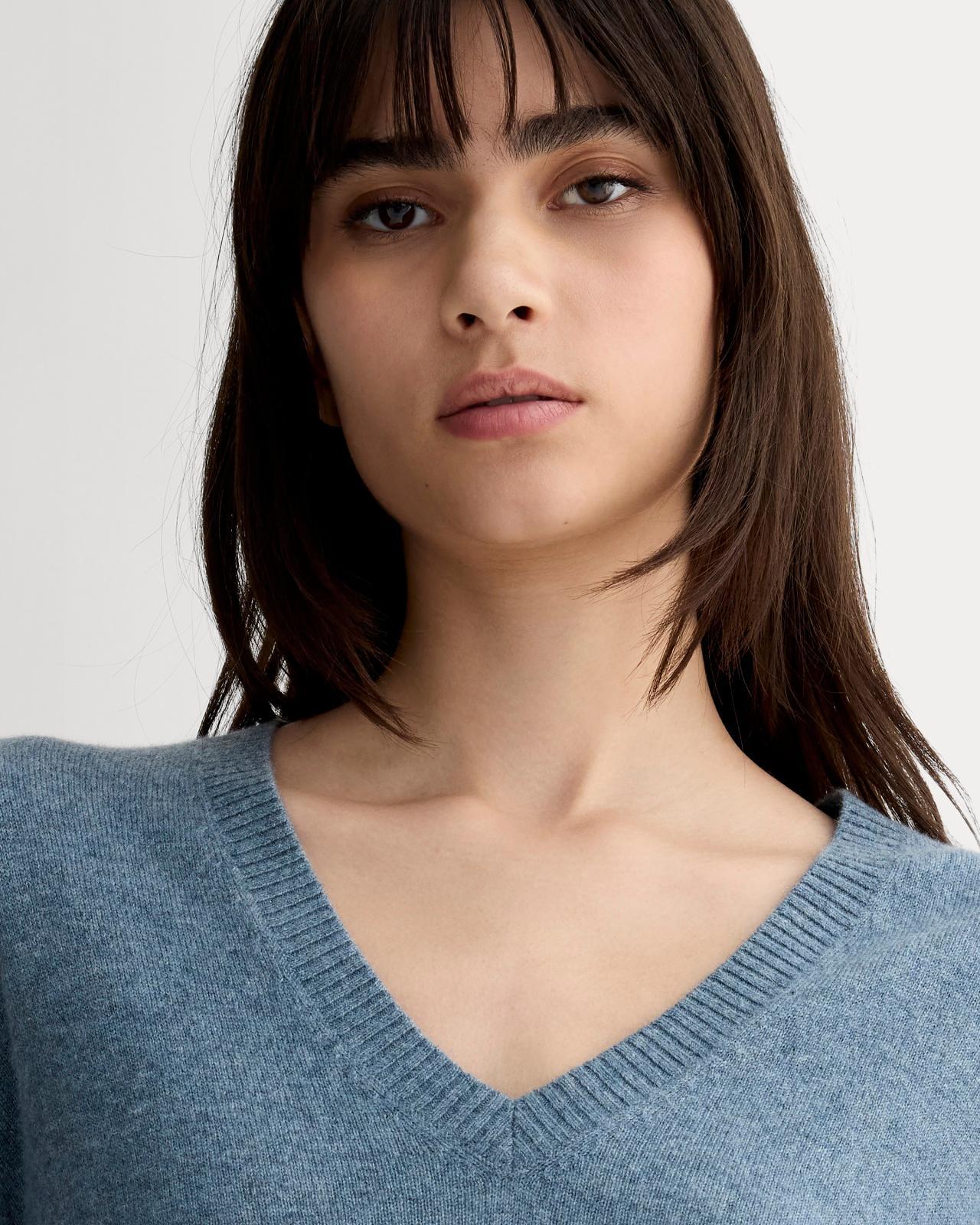 Womens Classic V in Cashmere Sweater by Everlane Product Image