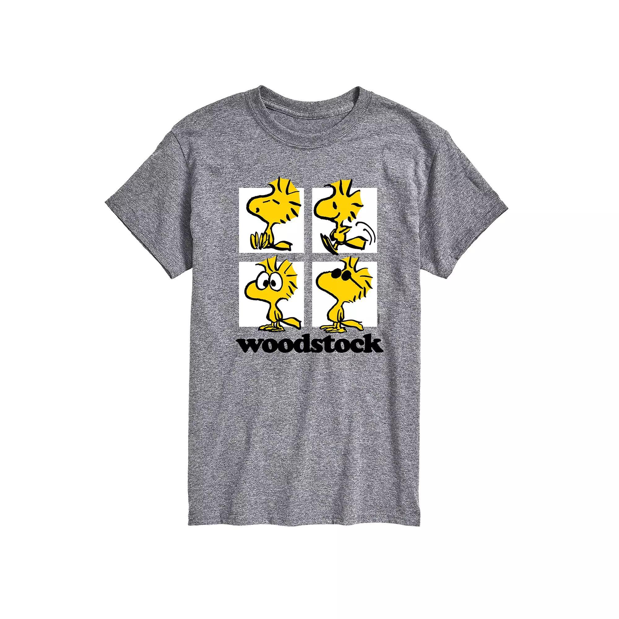 Big & Tall Peanuts Woodstock Grid Graphic Tee, Men's,  Product Image
