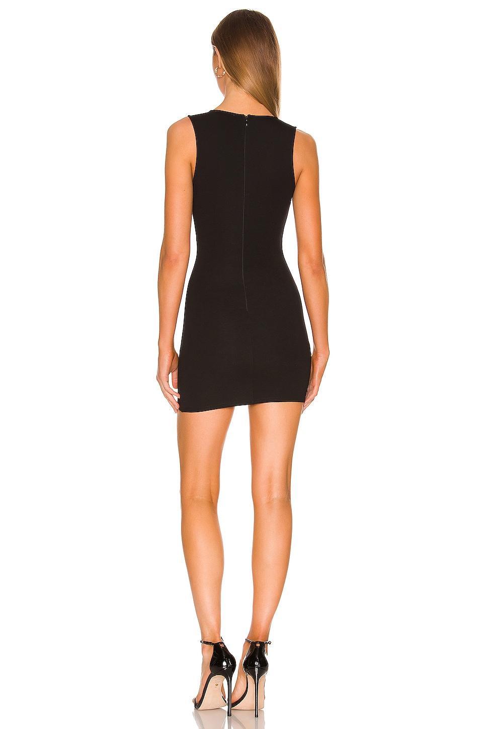 Skye Mini Dress superdown Product Image
