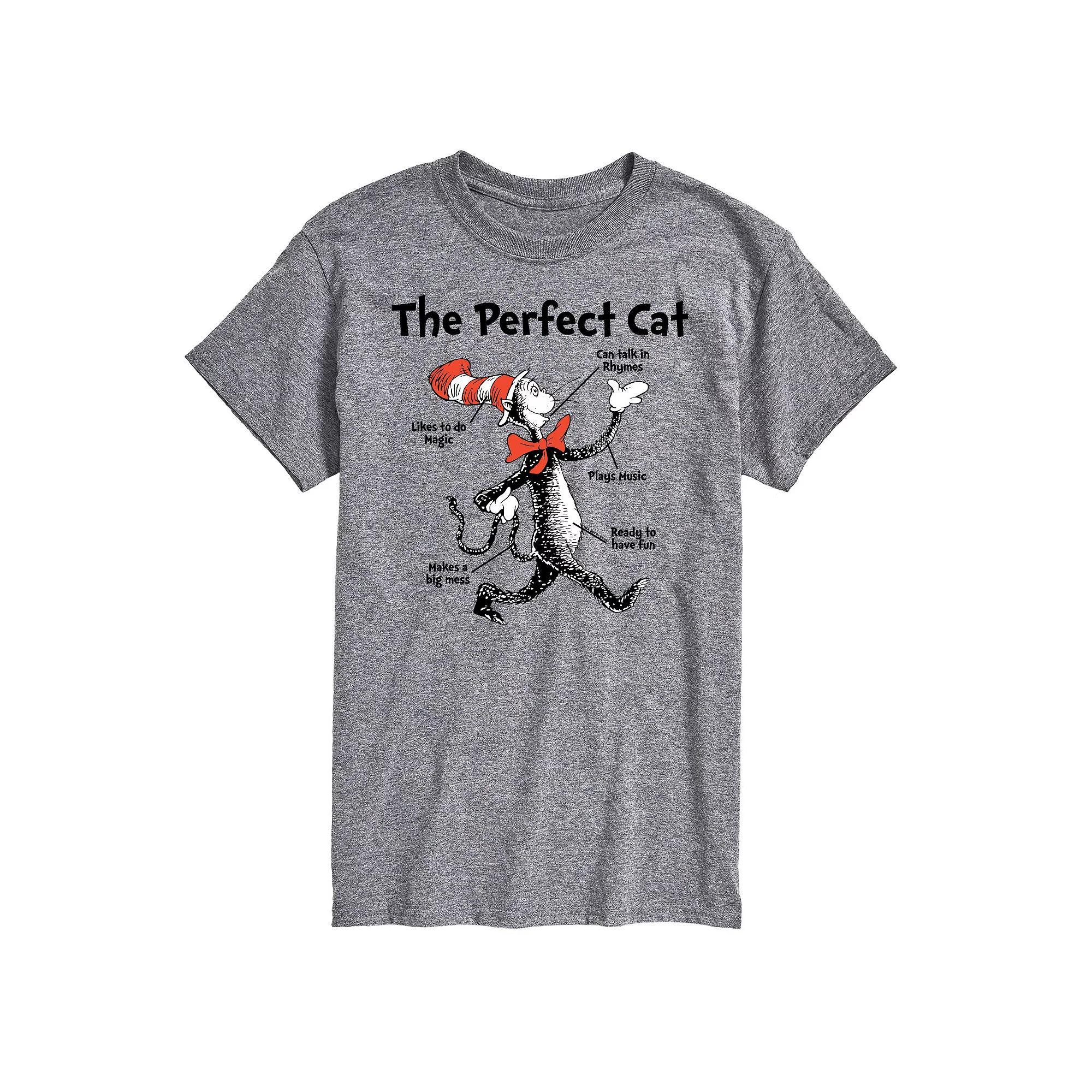 Big & Tall Dr Seuss Perfect Cat Tee, Men's, Size: XL Tall, Gray Product Image