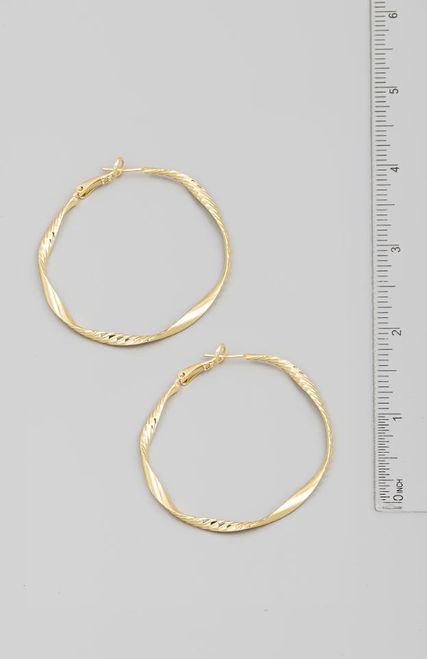 Metallic Hoop Earrings Product Image