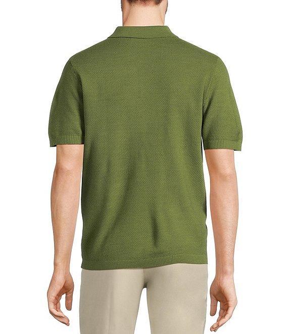 Murano Big & Tall Solid Textured Polo Short Sleeve Sweater Product Image