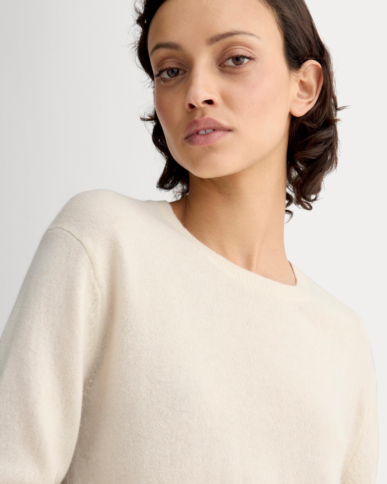 Womens Classic Crew in Cashmere Sweater by Everlane Product Image