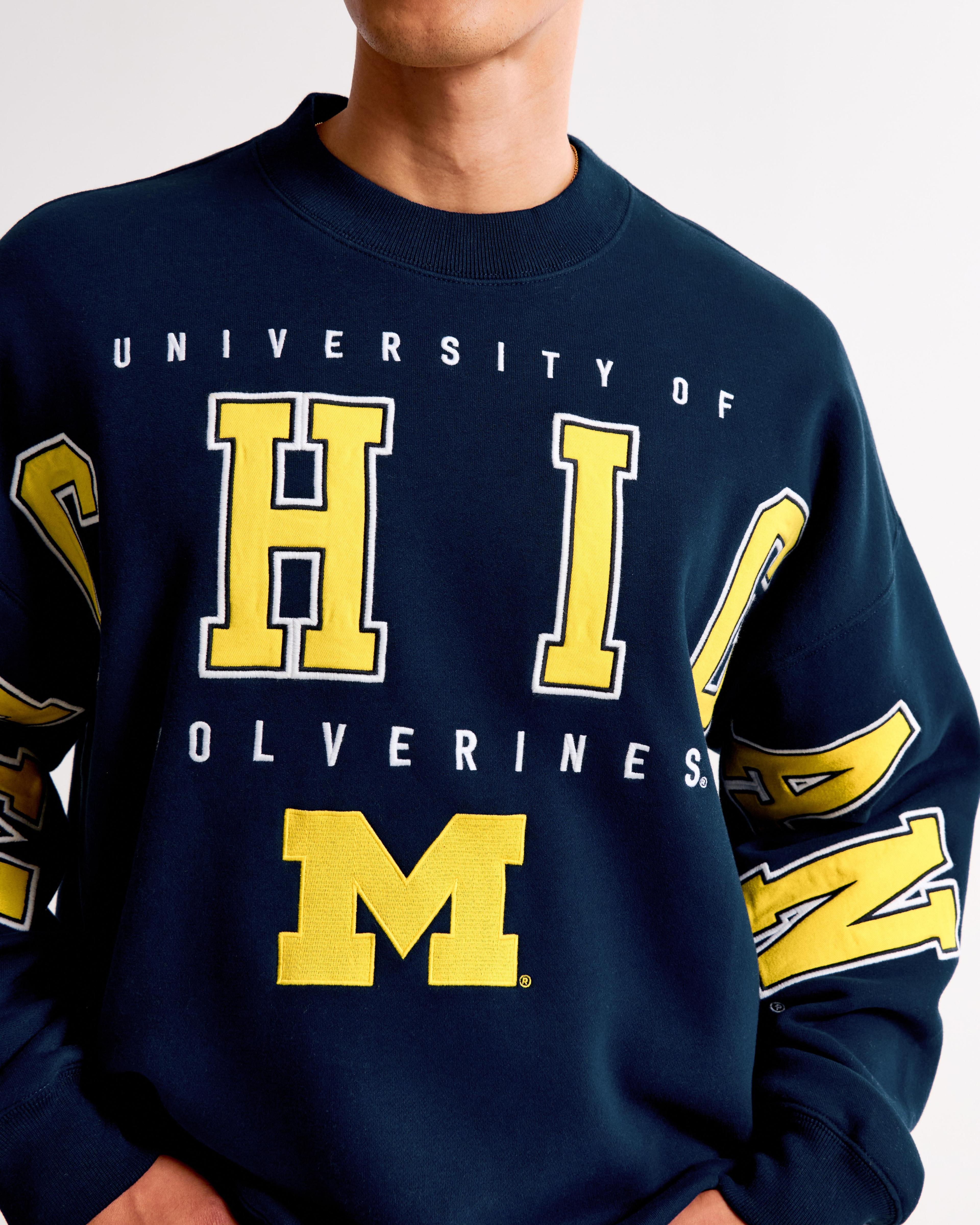 The Ohio State University Graphic Popover Hoodie Product Image