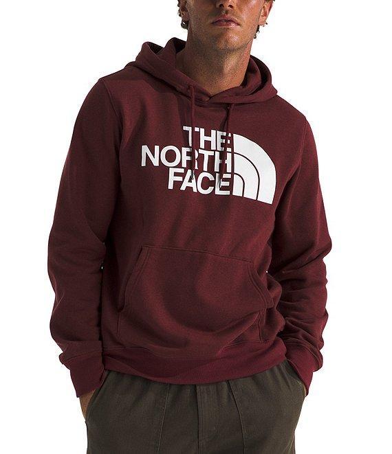 The North Face Half Dome Pullover Graphic Hoodie Product Image