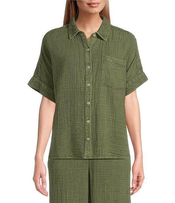 Westbound Woven Short Sleeve Button Front Top Product Image