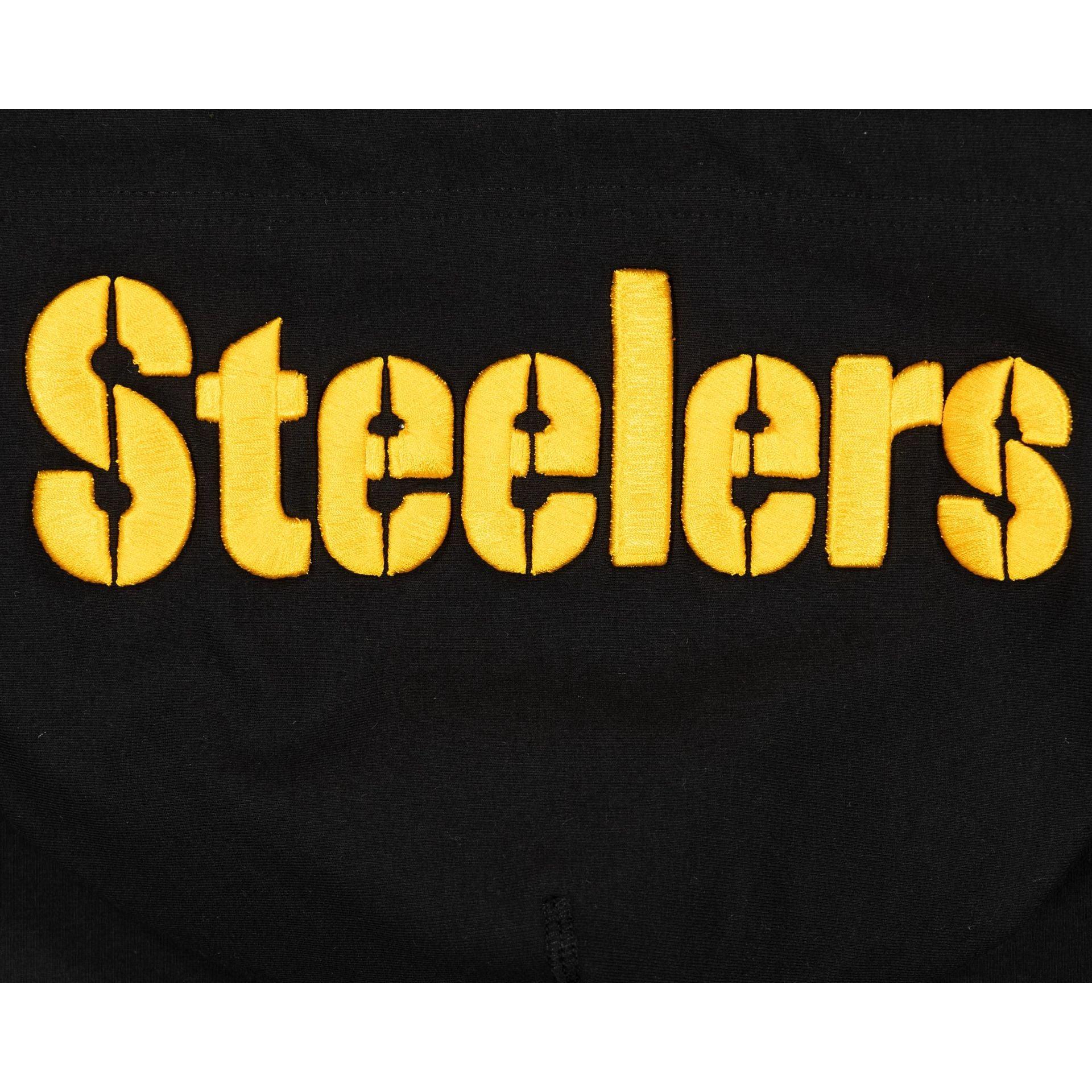 Pittsburgh Steelers Logo Select Hoodie Male Product Image