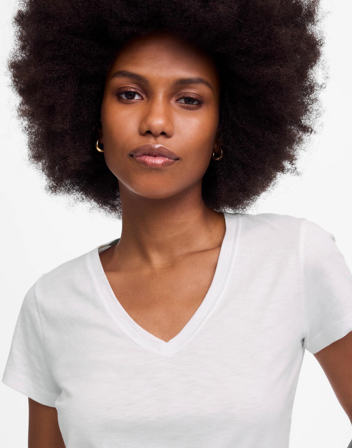 Slub Perfect V-Neck Tee Product Image