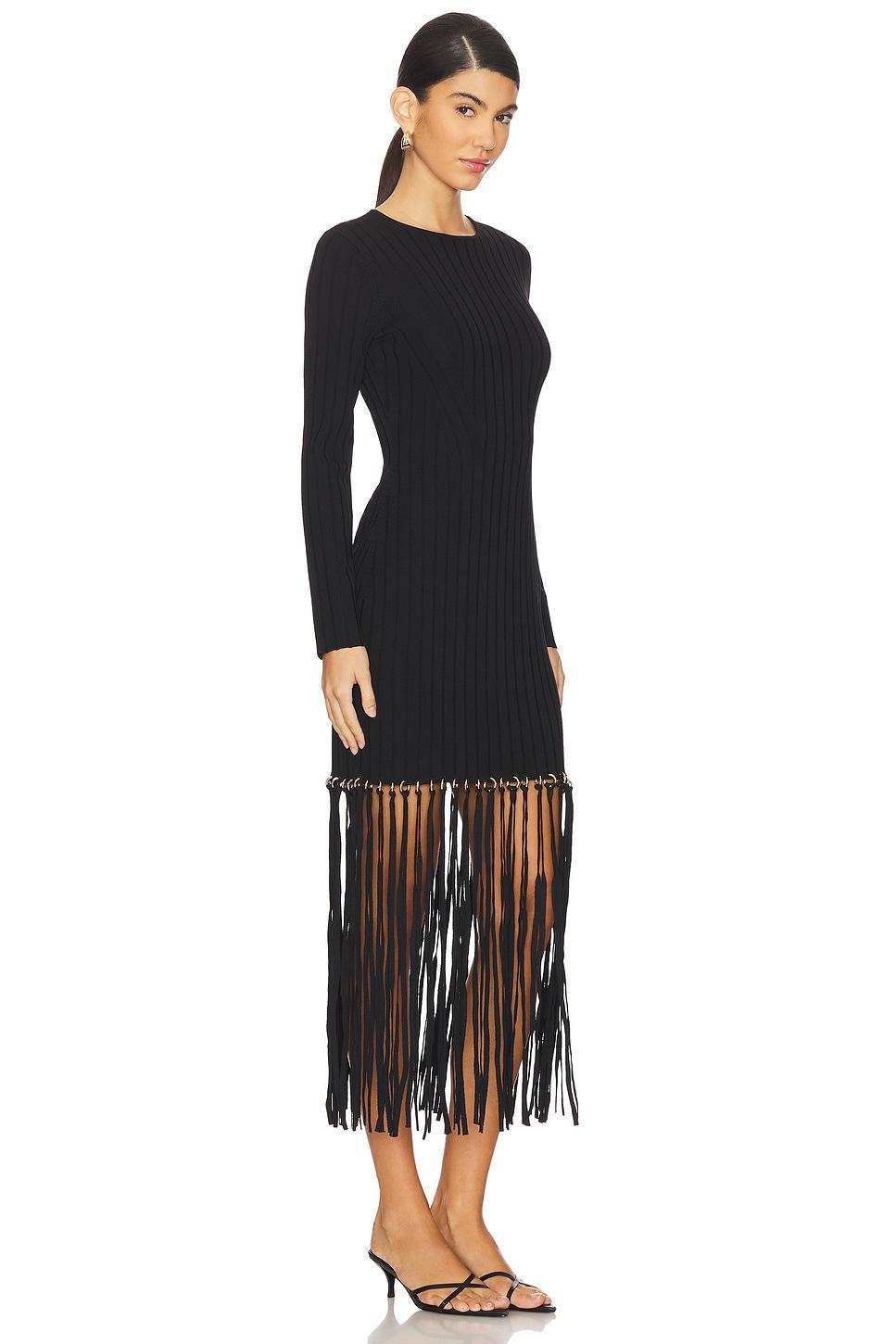 Sharron Maxi Fringe Dress SIMKHAI Product Image