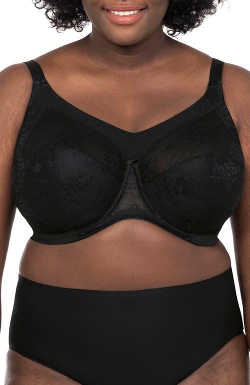 Verity Banded Full Coverage Bra Product Image