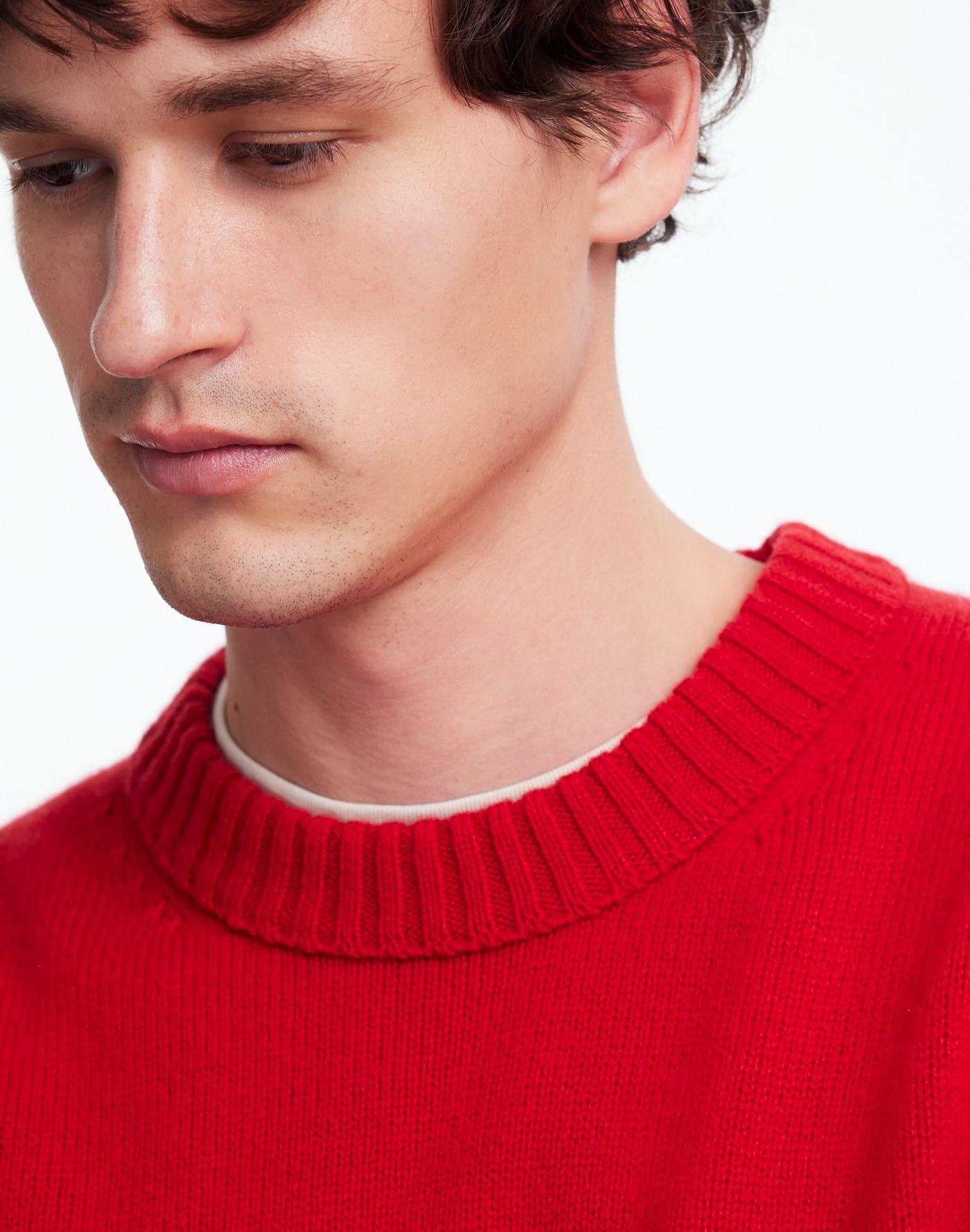 Crewneck Sweater in SoftWool Product Image
