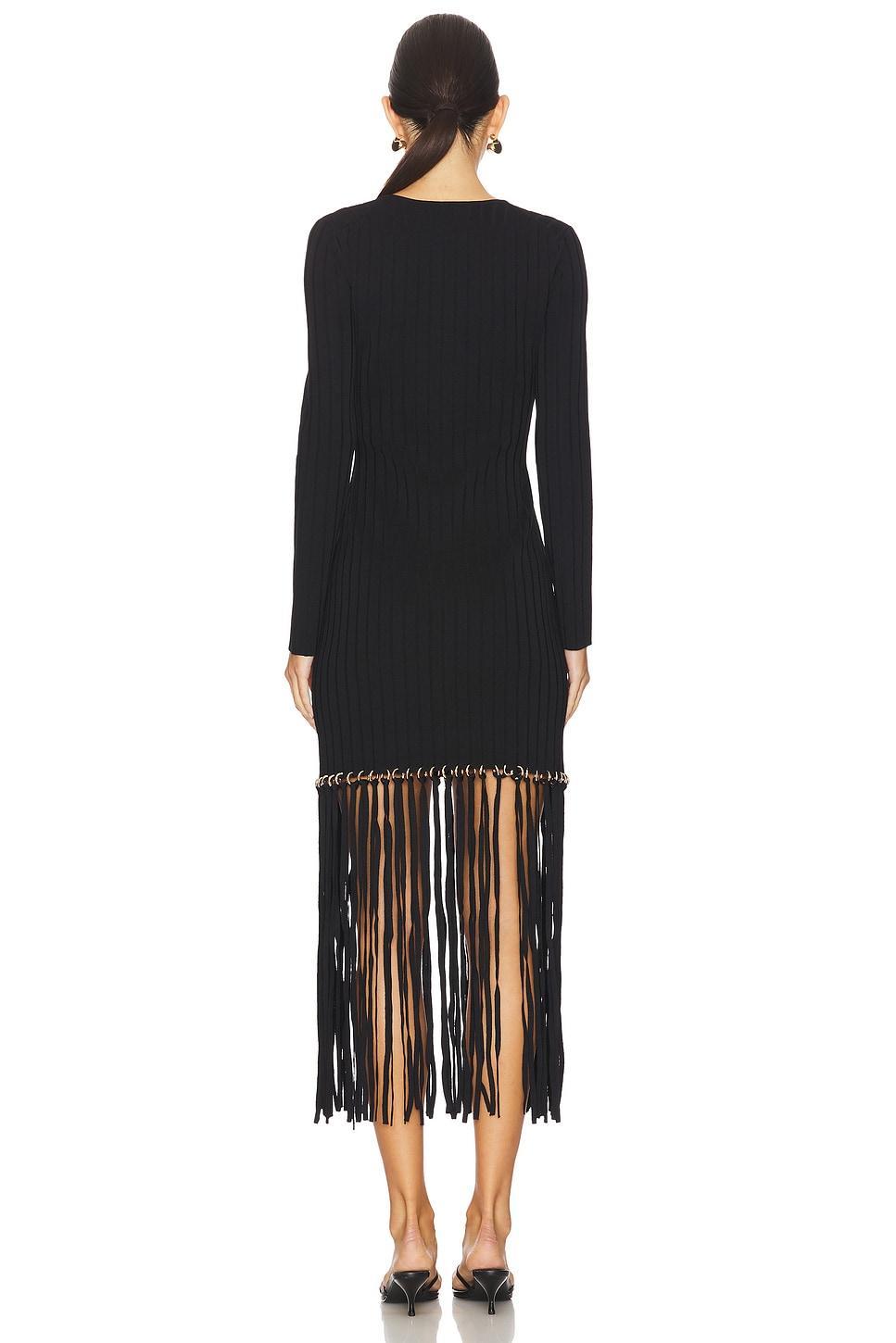 Sharron Maxi Fringe Dress SIMKHAI Product Image