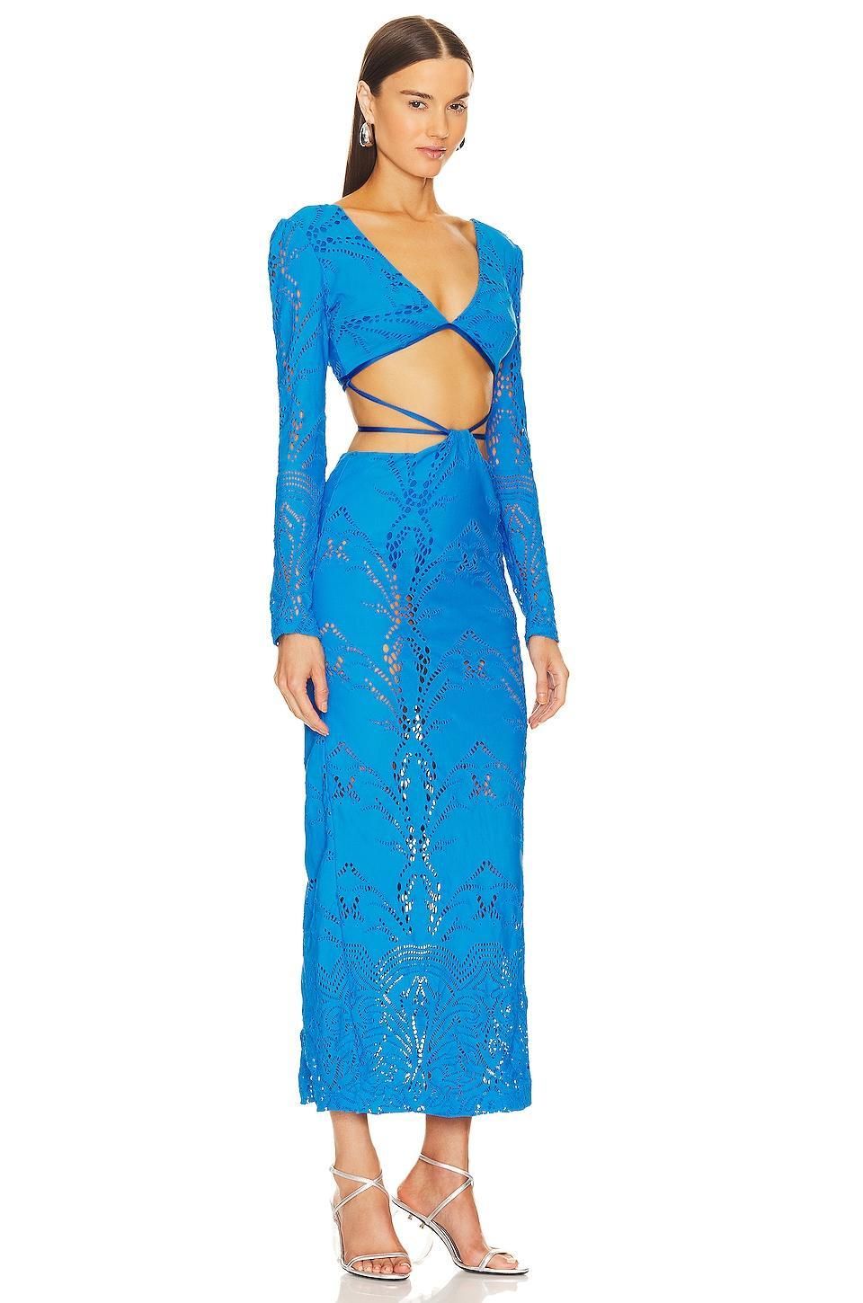 Stretch Lace Maxi Dress PatBO Product Image