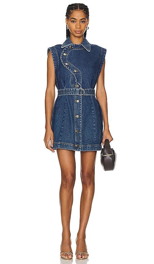 Glenfern Mini Dress Product Image