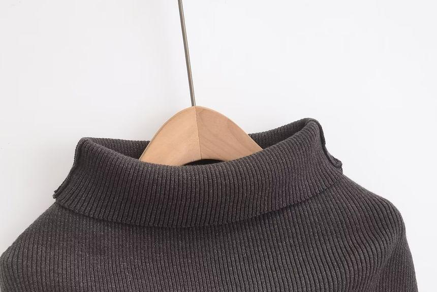 Turtleneck Plain Ribbed Sweater Product Image