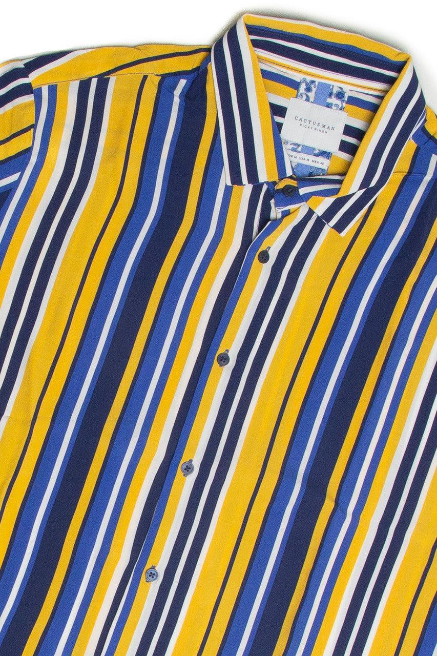 Sunny Stripes Button Up Shirt Product Image