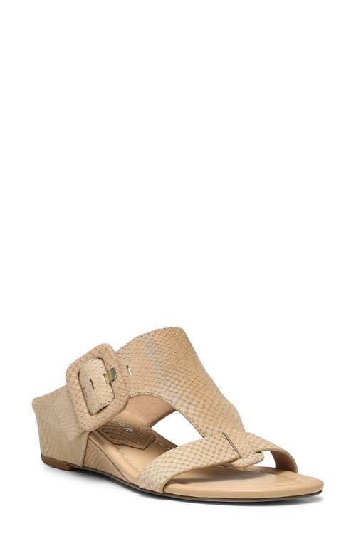 Donald Pliner Ofelia Snake Print Leather Buckle Slide Wedge Sandals Product Image