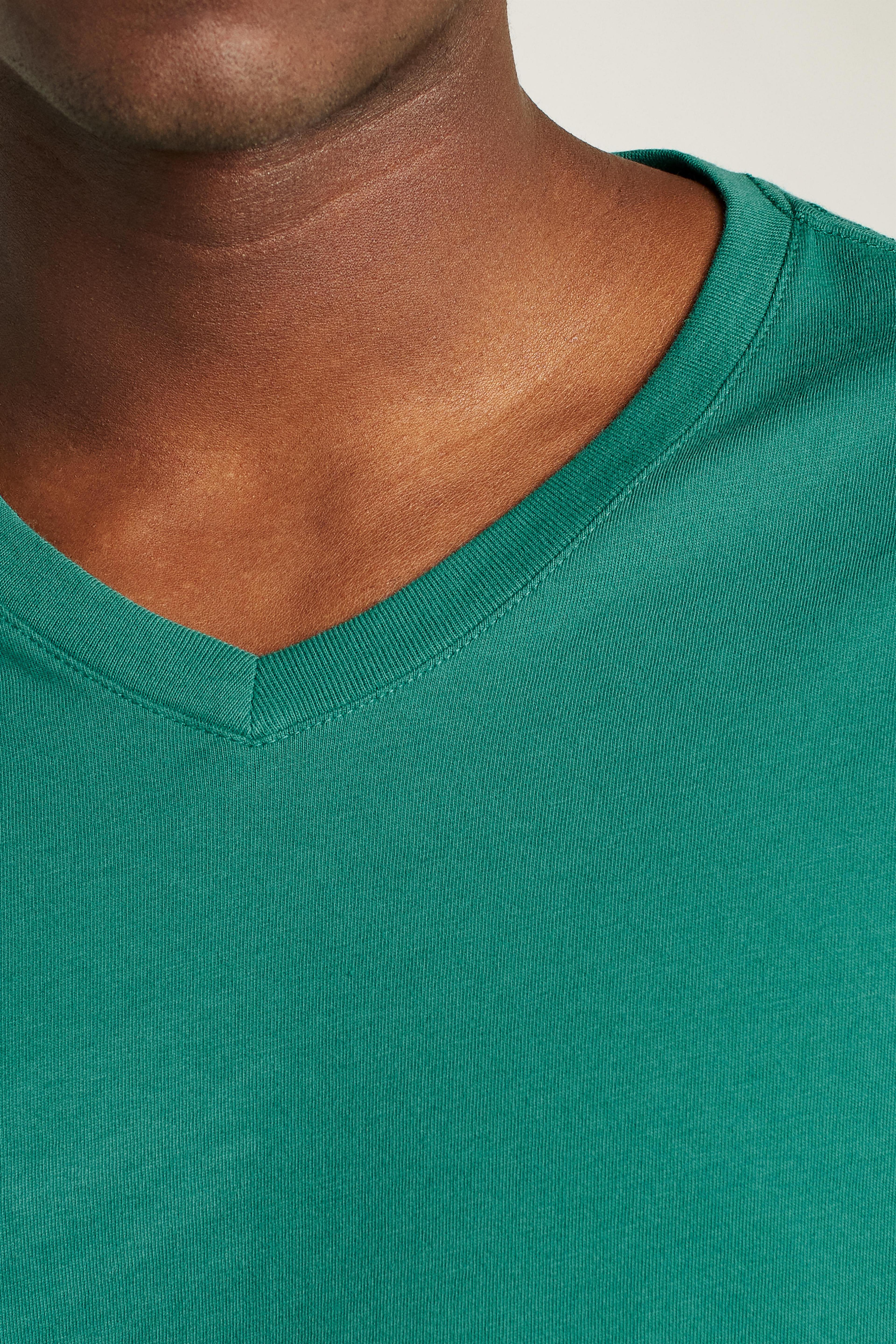 Organic Cotton V-Neck Tee Product Image