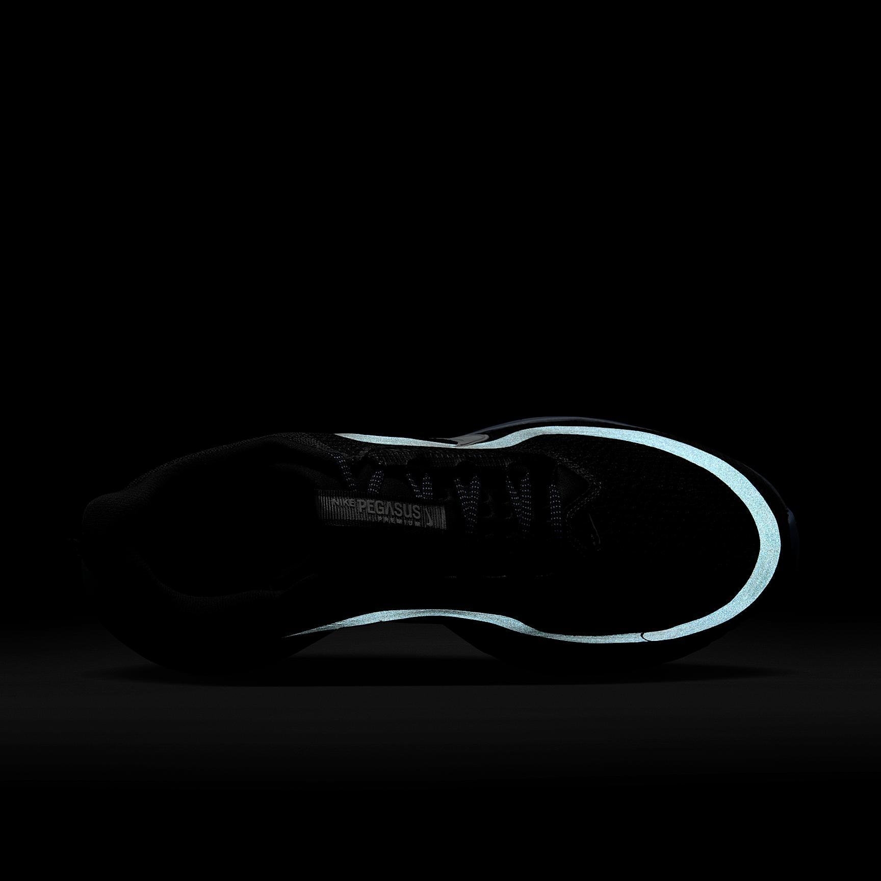 Nike Mens Pegasus Premium Road Running Shoes | HQ2592-301 Product Image