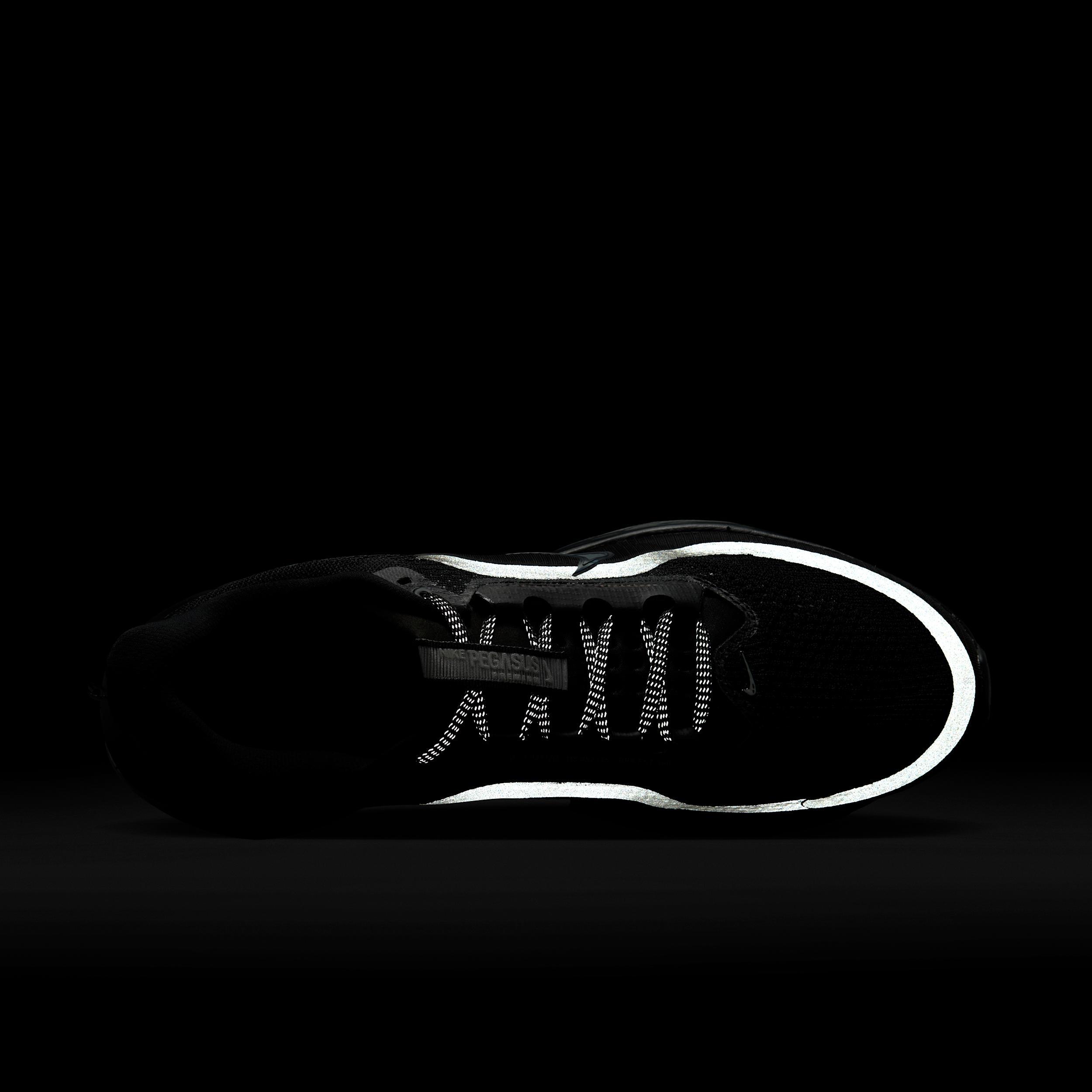 Nike Mens Pegasus Premium Road Running Shoes | HQ2592-301 Product Image