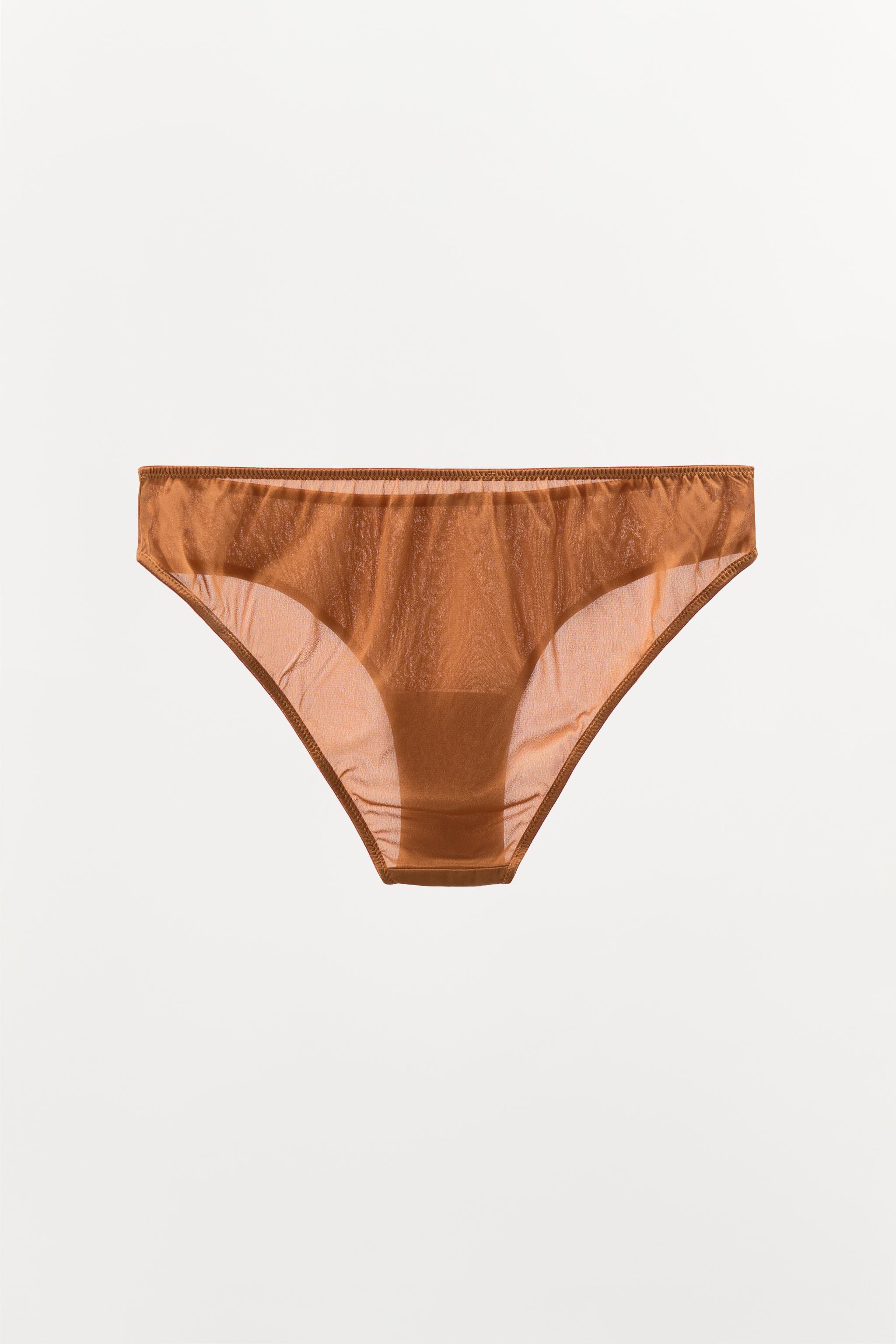 LIMITED EDITION SILK PANTIES Product Image