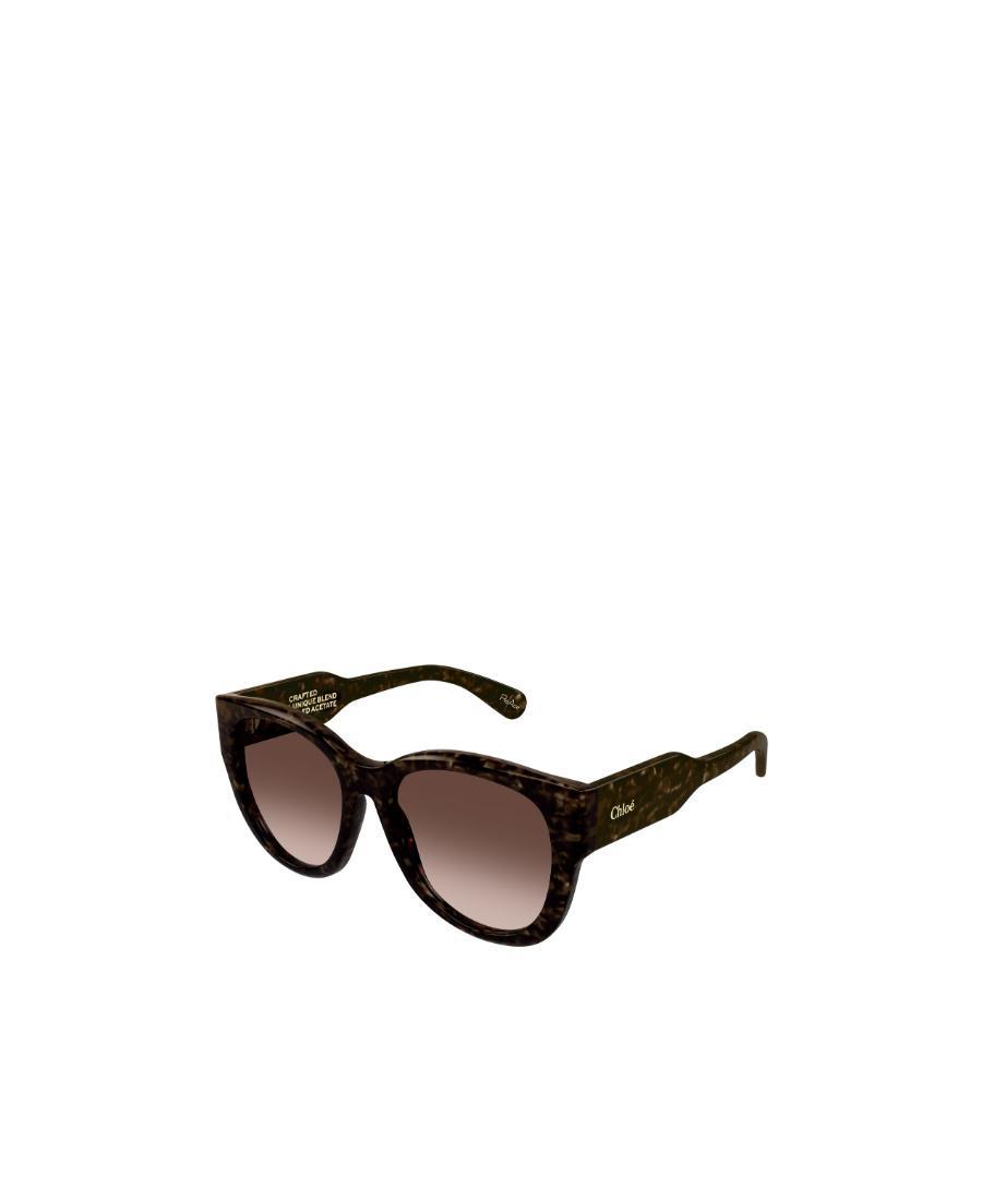 CHLOÉ Havana Round-frame Sunglasses In Black Product Image