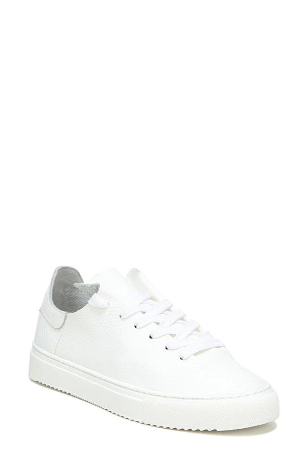 Sam Edelman Poppy Lace-Up Sneaker Leather Product Image