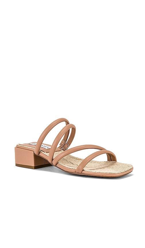 Citizen Sandal Steve Madden Product Image