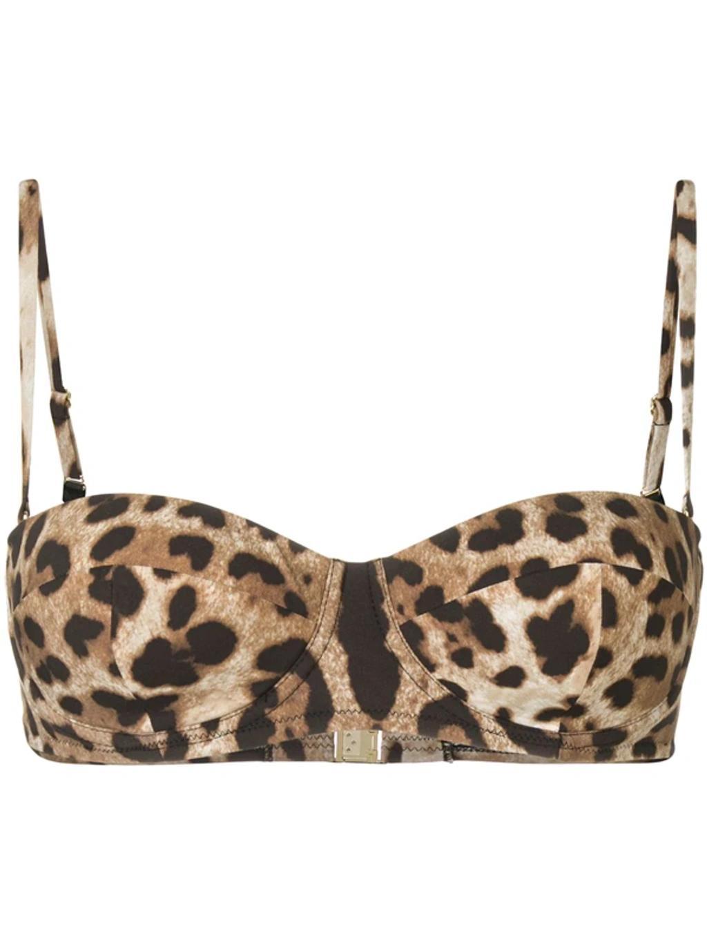 DOLCE & GABBANA Leopard-print Balconette Bikini Top In Brown Product Image