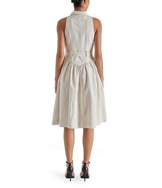 Steve Madden Mary Sleeveless Stripe Midi Button Front Shirt Dress Product Image