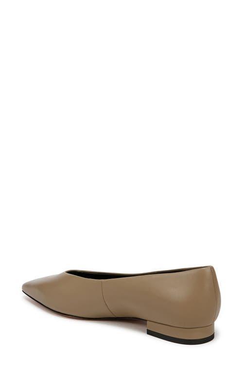 Isabel Pointed Toe Flat In Safari Beige Leather Product Image