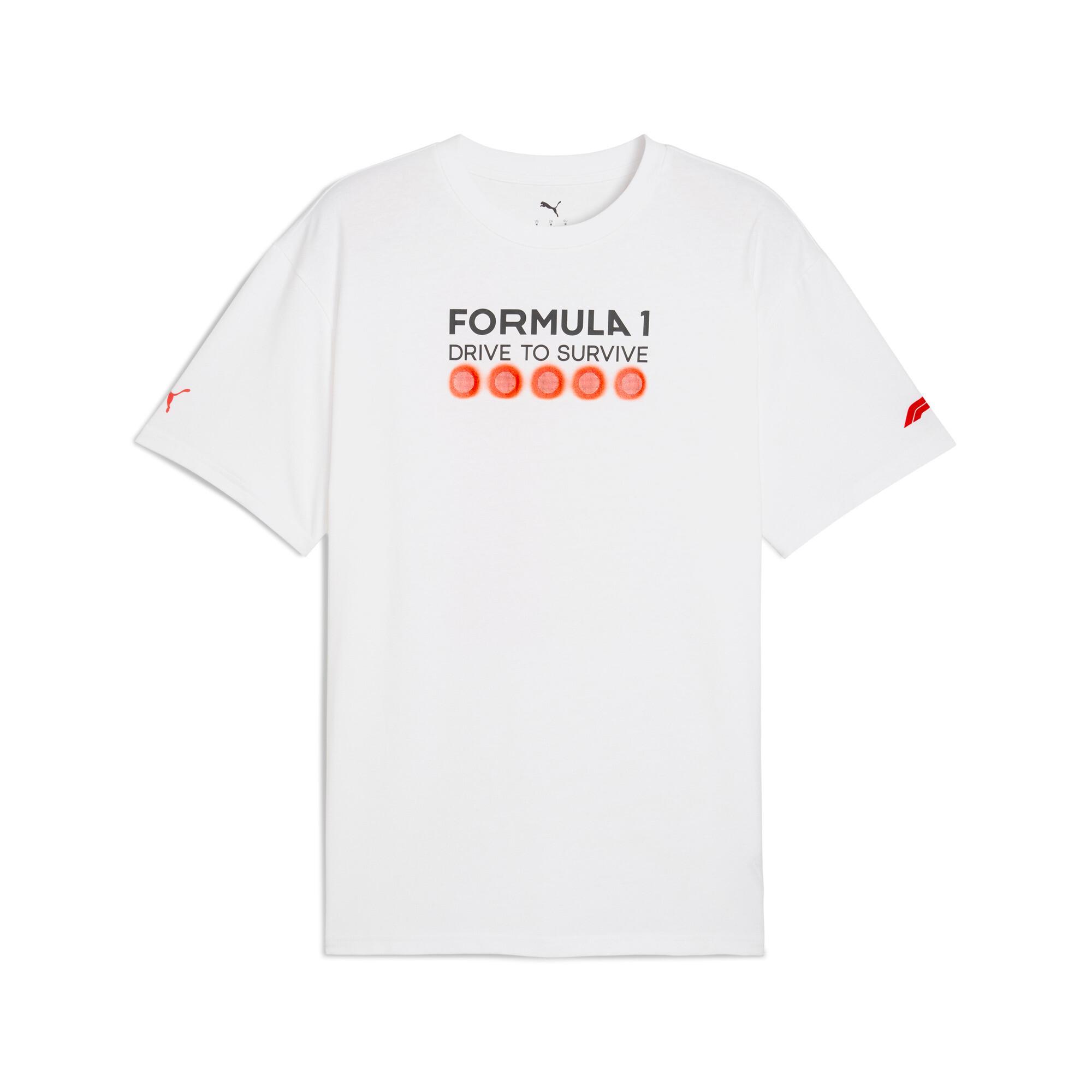 Formula 1® Drive to Survive Men's Relaxed Tee Product Image