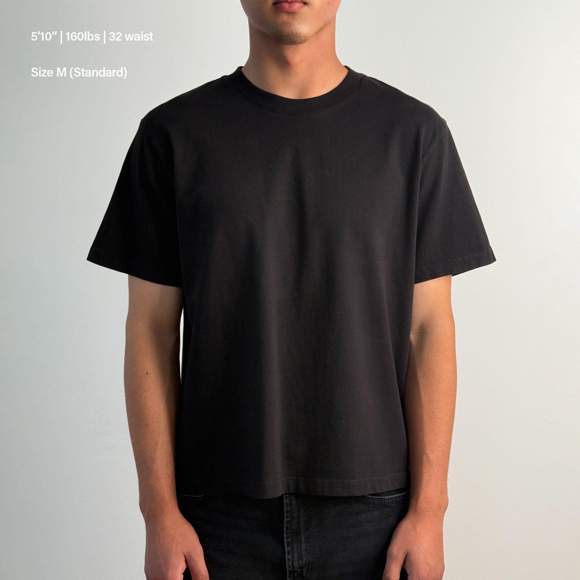 Silverlake Crop Tee II Product Image