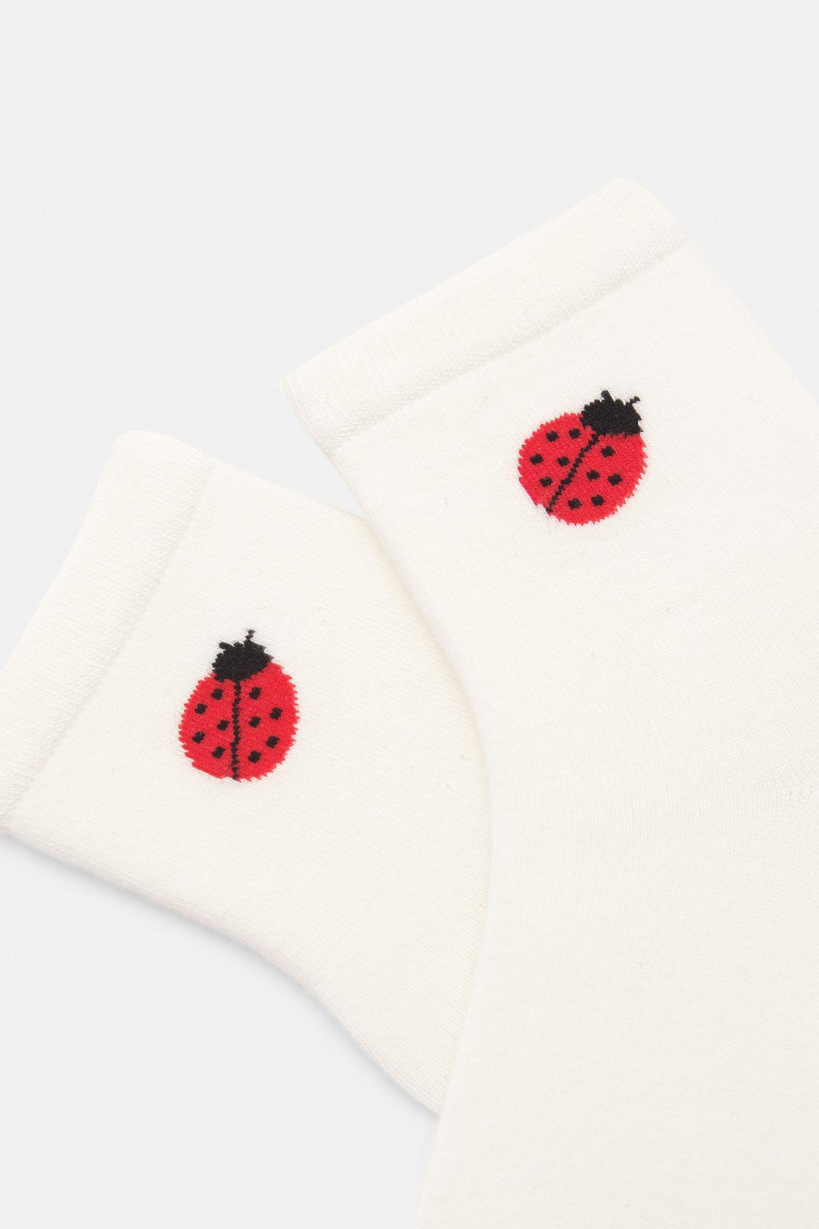 Ladybird socks Product Image