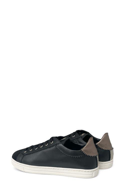 AGL ATTILIO GIUSTI LEOMBRUNI Agl Sade Sneaker In Nero Product Image