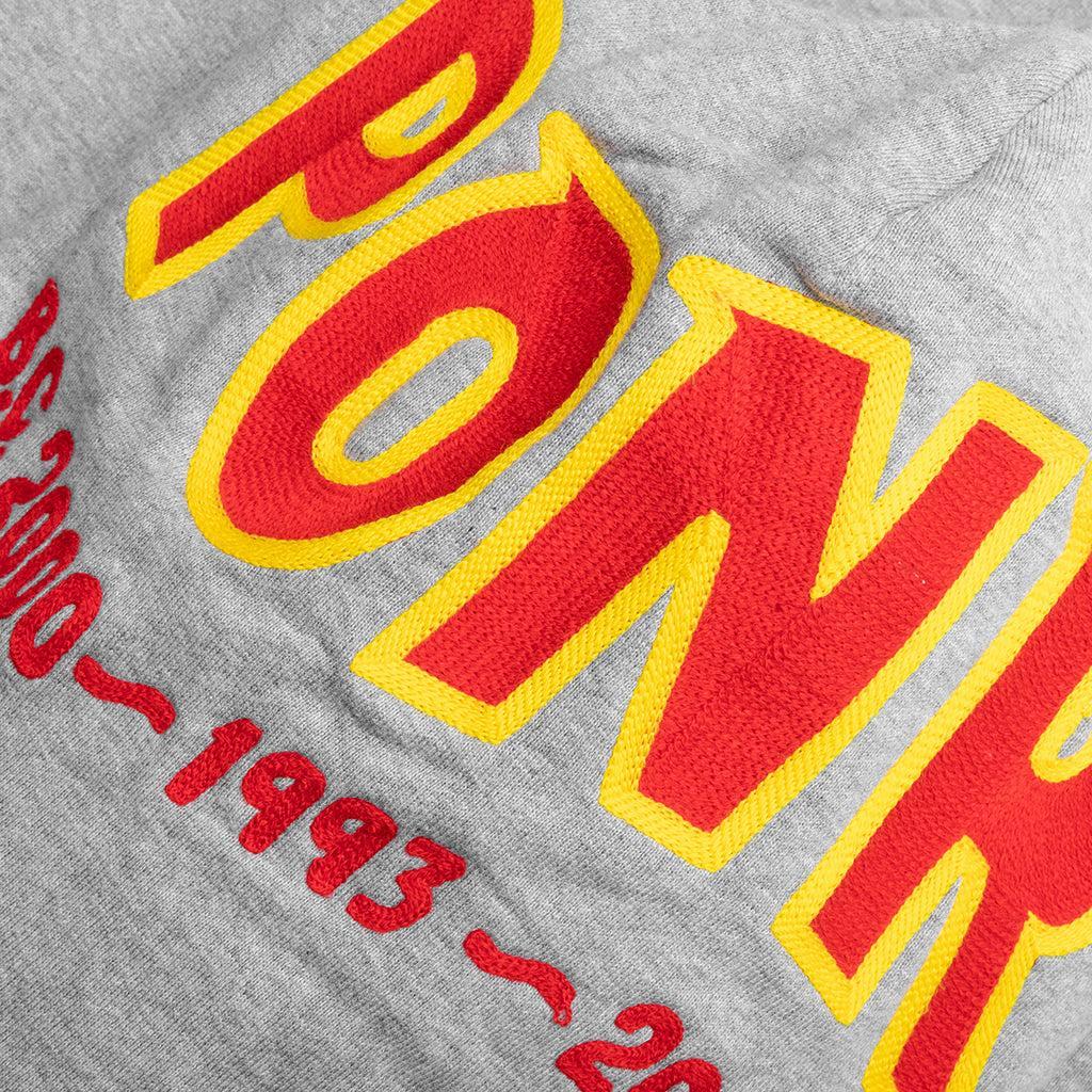 2nd Shark Full Zip Hoodie - Gray Male Product Image