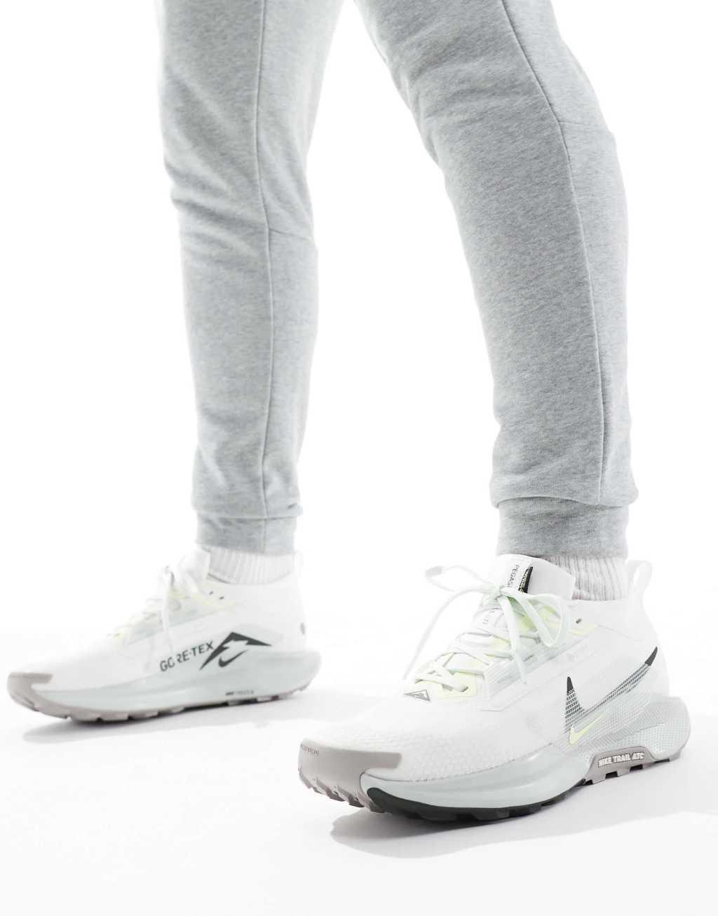 Nike Running Pegasus Trail 5 Gore-Tex sneakers in off white and silver Product Image