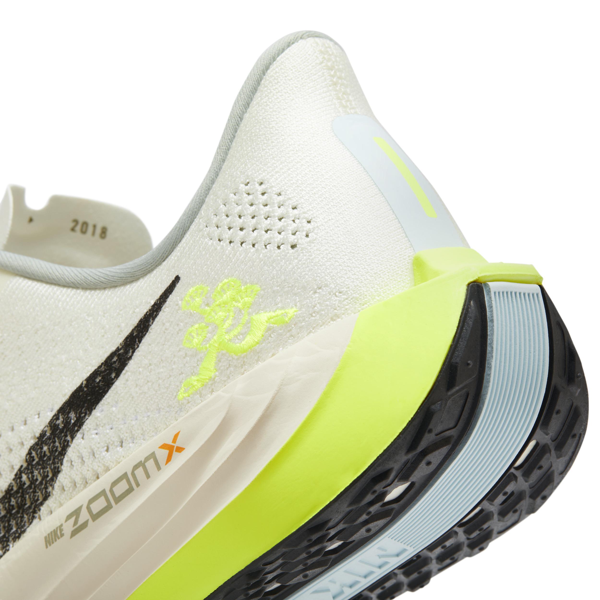 Nike Men's Pegasus Plus Road Running Shoes Product Image