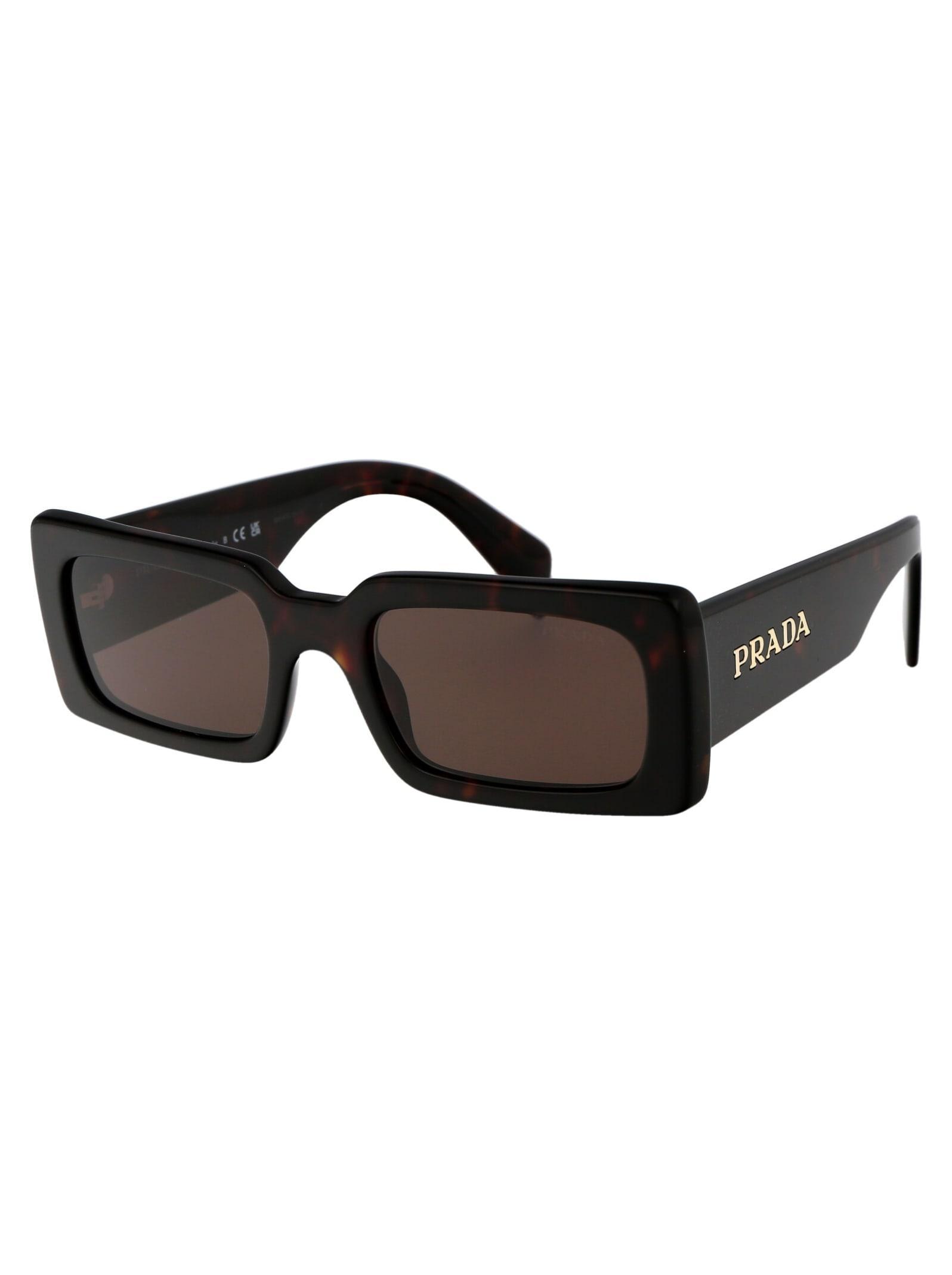 PRADA Sunglasses In 16n5y1 Briar Trotoise Product Image