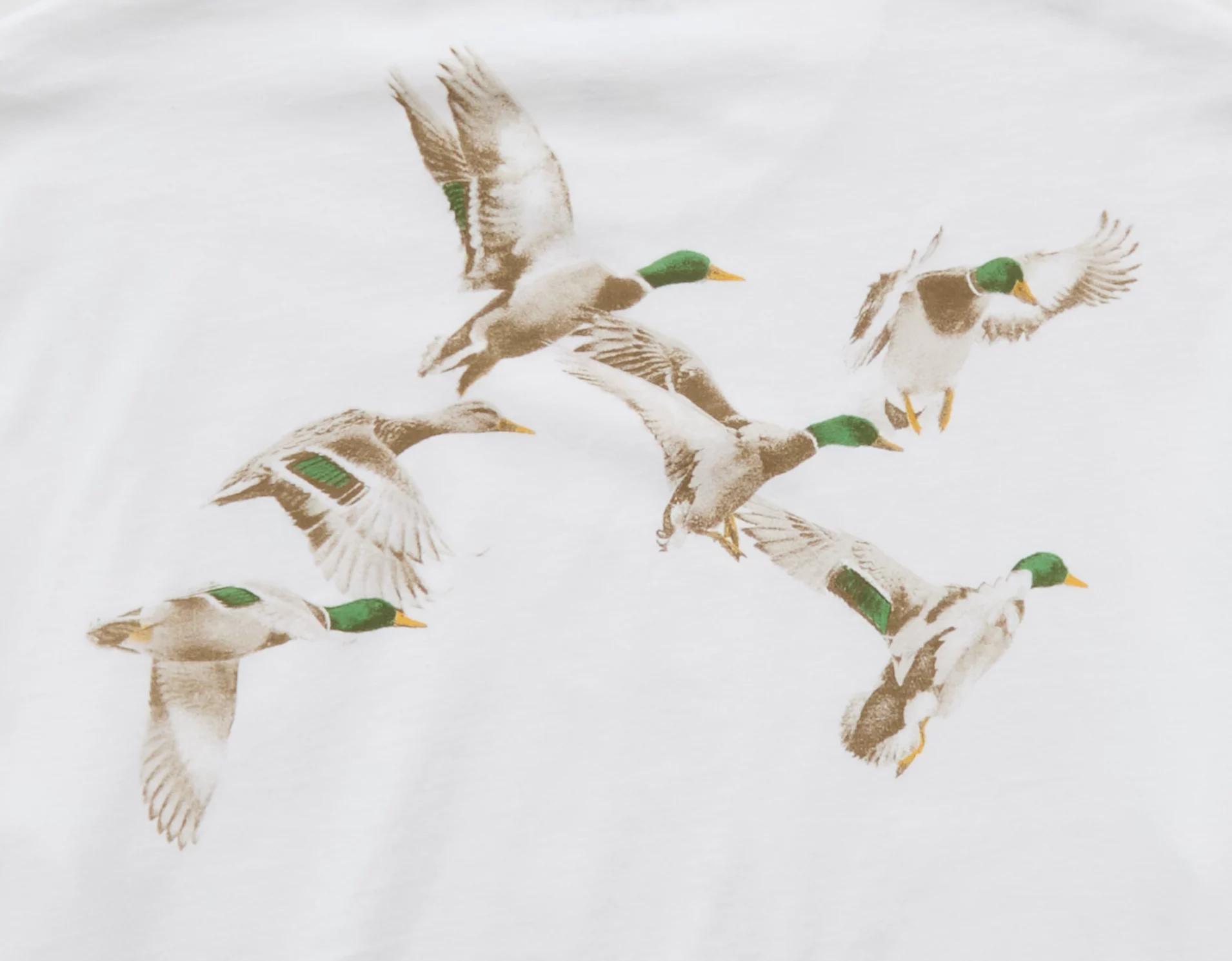 AE Logo Graphic T-Shirt Product Image